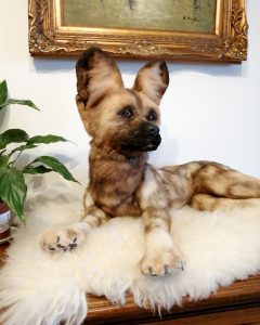 Author's toy African dog