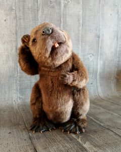 Custom beaver toy