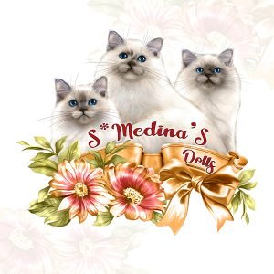 Ragdoll cattery logo with flowers