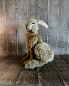 Author's gray rabbit toy