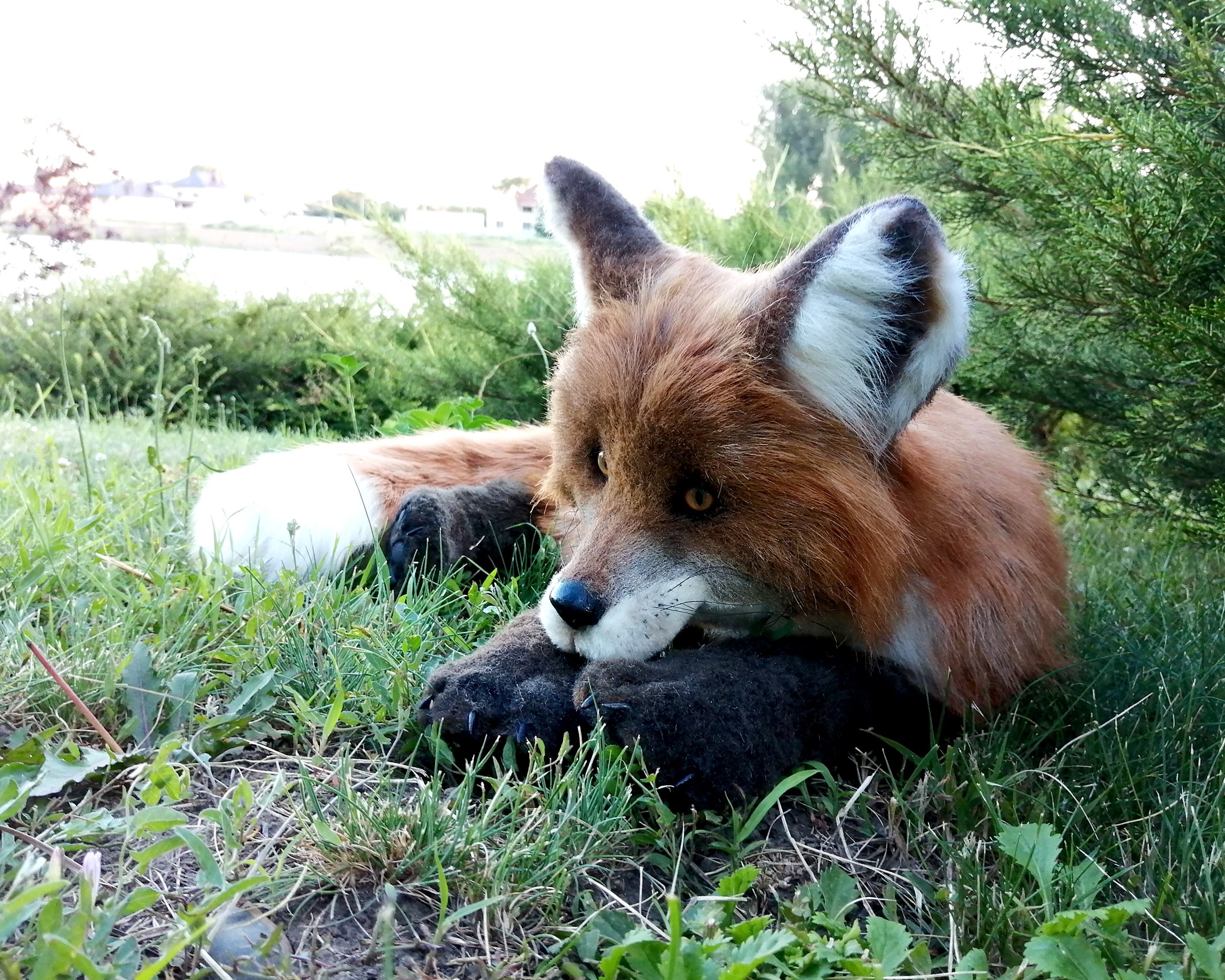 Realistic custom fox toy