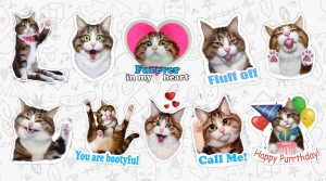 British cat stickers for Viber