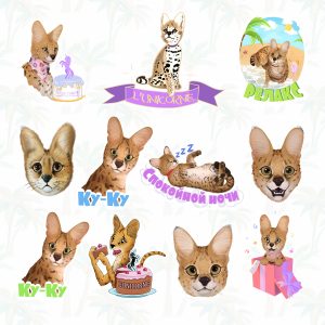 Stickers for messengers with serval