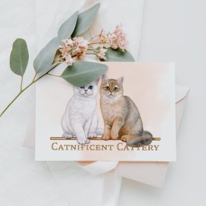 Postcard with the logo of the cattery of British cats