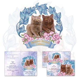 Design veterinary passports for a British cattery