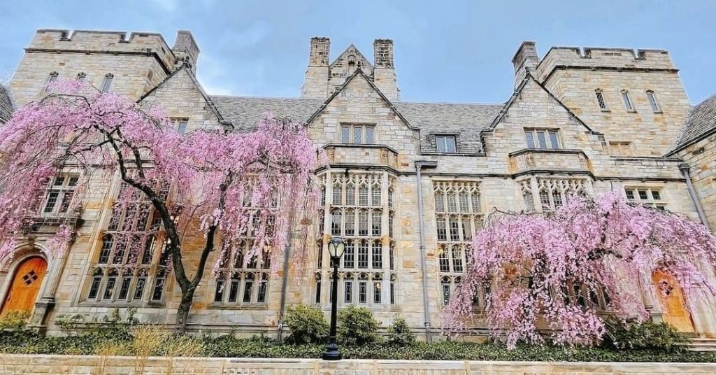 Yale University is in the Ivy League, a university tradition
