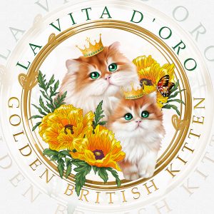 illustration logo cattery golden british cats