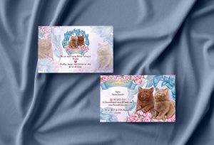 cattery business card mockup