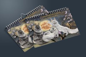 calendrier avec illustration de maine coons