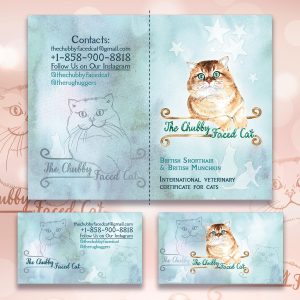 international veterinary passport for cattery