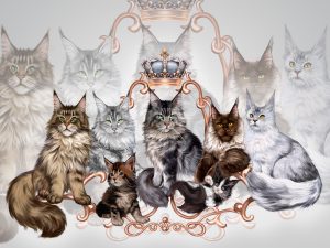 banner illustration with maine coons