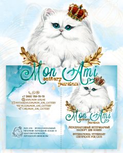 дизайн ветеринарного паспорта для питомника персидских котов