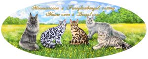 ілюстрація з мейн кунами та бенгальськими котами для сайту