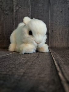 cute rabbit designer handmade toy