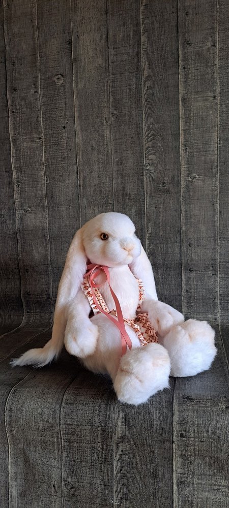 заказать кролика тедди для коллекции или подарка