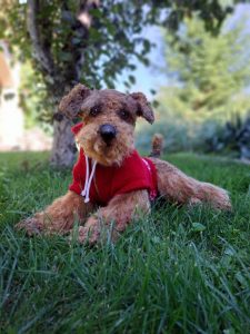 chien jouet réaliste de l'auteur dans une veste rouge