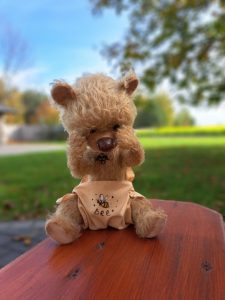 Teddy bear designer toy for collection or custom gift